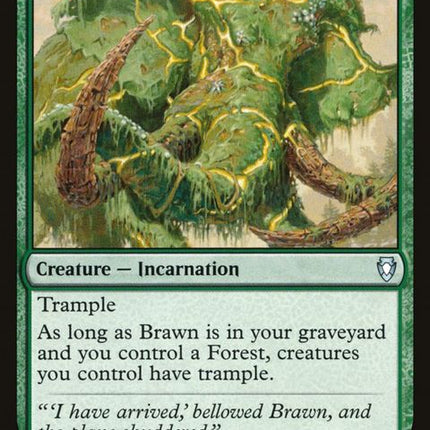 133-brawn