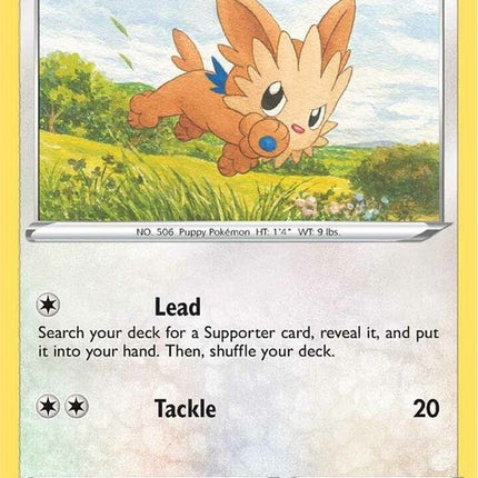 133-lillipup