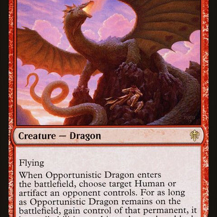 133-opportunisticdragon