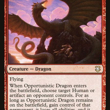 134-opportunisticdragon