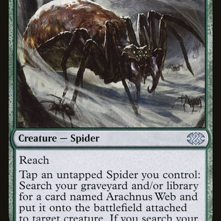 135-arachnusspinner