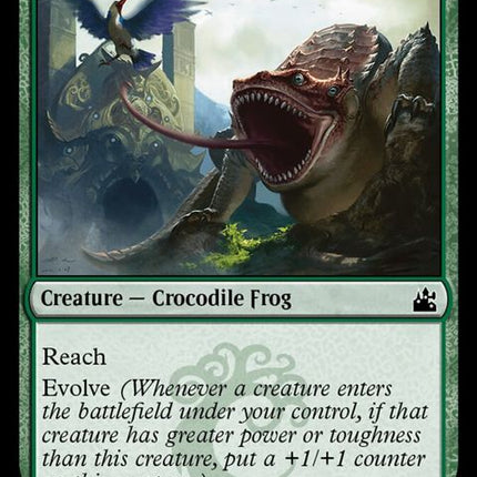 135-crocanura