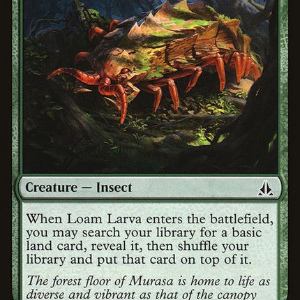 135-loamlarva