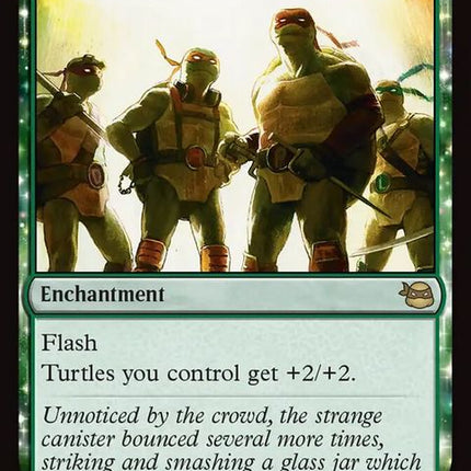 135-turtlepower
