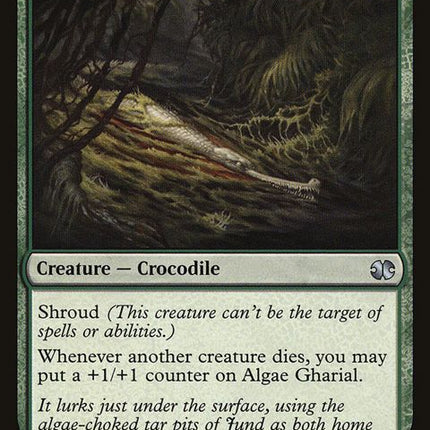 137-algaegharial