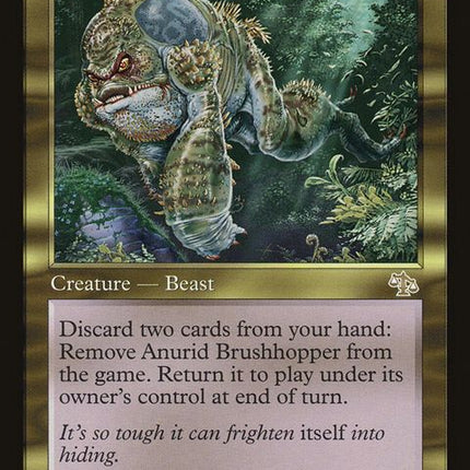 137-anuridbrushhopper