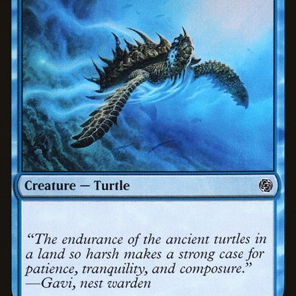 138-aegisturtle