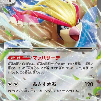 139-pidgeotex