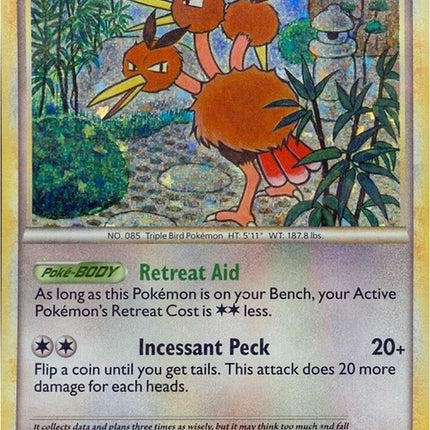 14-dodrio