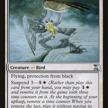 14-duskriderperegrine