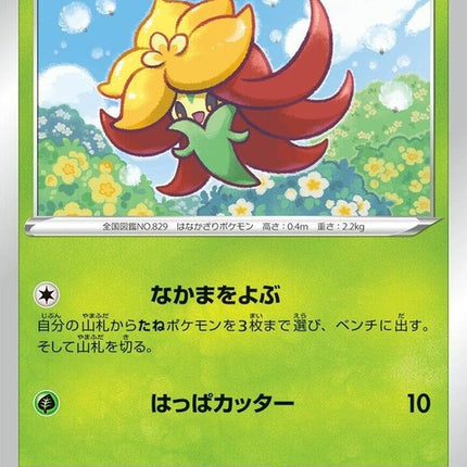 14-gossifleur