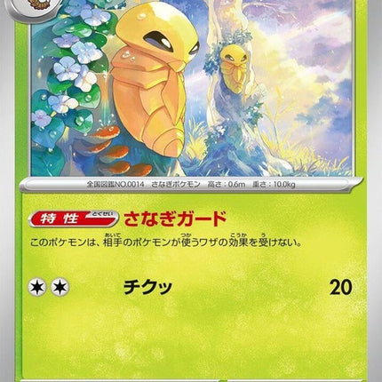14-kakuna