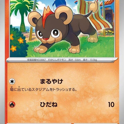 14-litleo