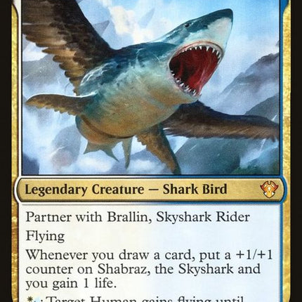 14-shabraztheskyshark