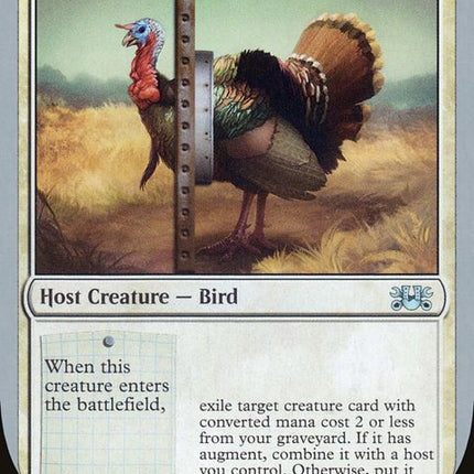 14-struttingturkey