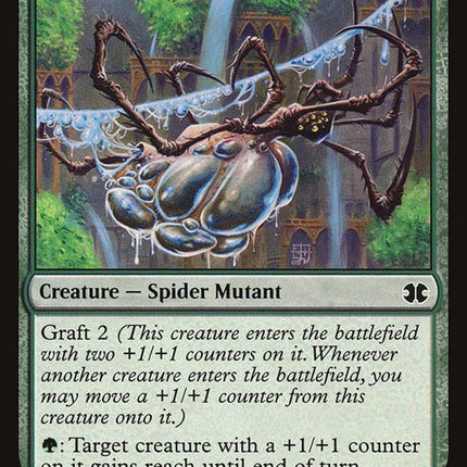 140-aquastrandspider