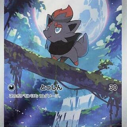 140-zorua