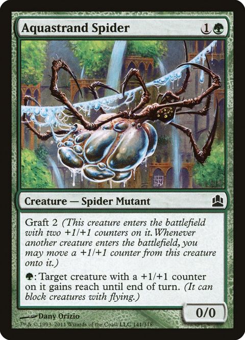 141-aquastrandspider
