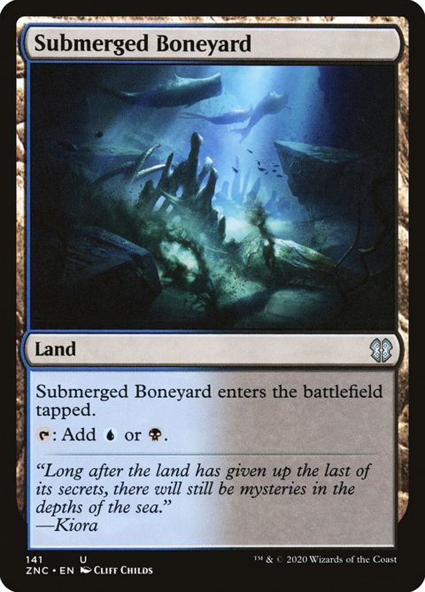 141-submergedboneyard