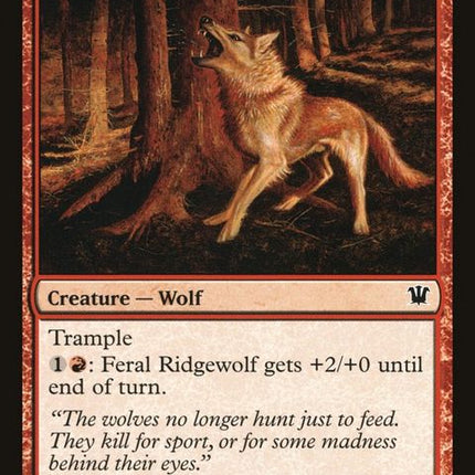 142-feralridgewolf