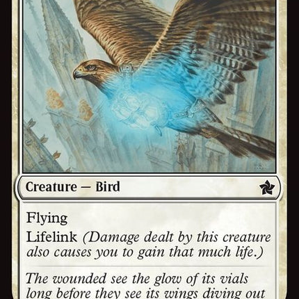 142-healershawk