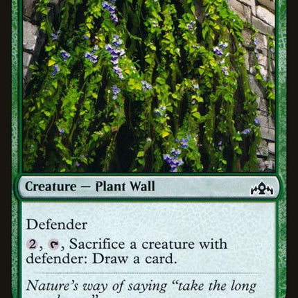 142-portcullisvine