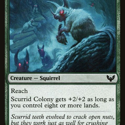 142-scurridcolony
