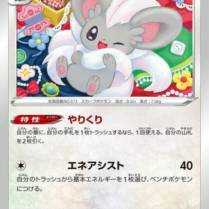 143-cinccino