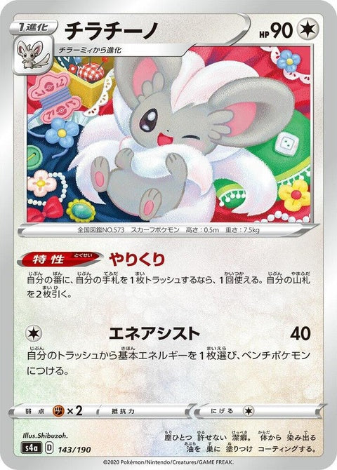 143-cinccino