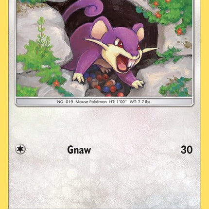 143-rattata