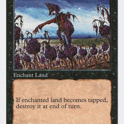 144-blight