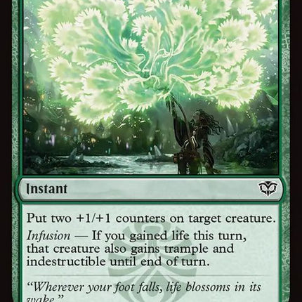 144-efflorescence