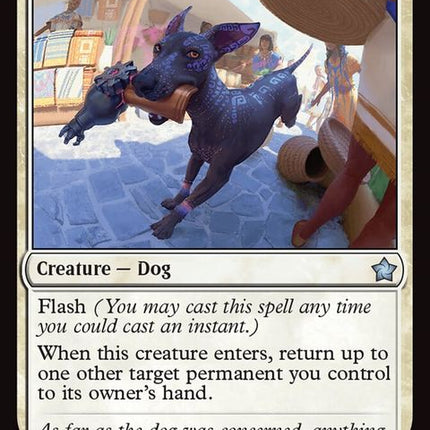 144-mischievouspup