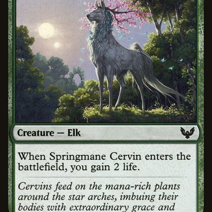 144-springmanecervin