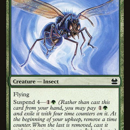 145-giantdustwasp