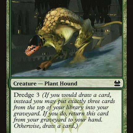 146-greatermossdog