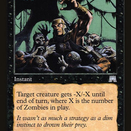 147-feedingfrenzy