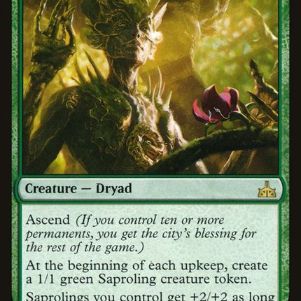 147-tendershootdryad