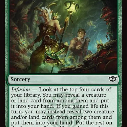 148-followthelumarets