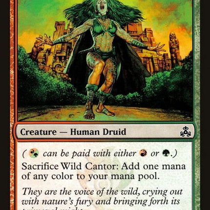 149-wildcantor