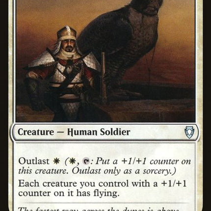 15-abzanfalconer