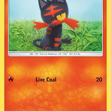 15-litten