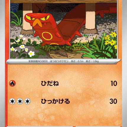 15-sizzlipede