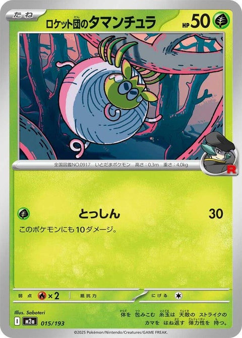 15-teamrocketstarountula