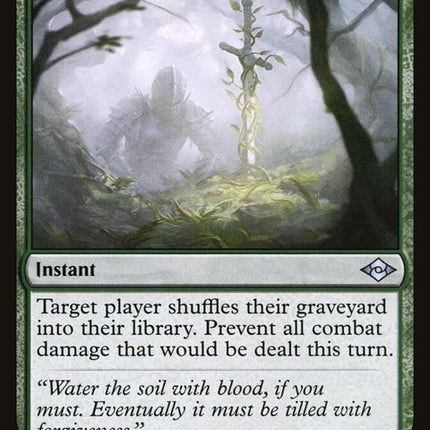 150-blessedrespite