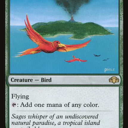 151-birdsofparadise