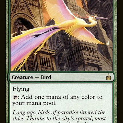153-birdsofparadise