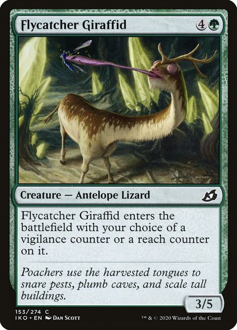 153-flycatchergiraffid