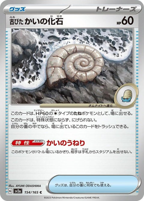 154-antiquehelixfossil