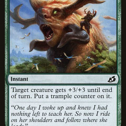 154-fullygrown